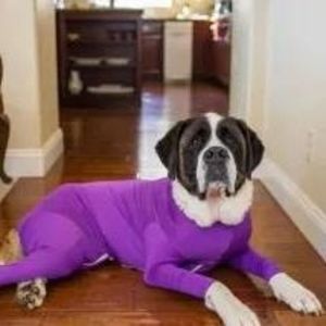 Meet your Posher, Carolynn